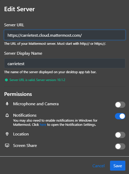 A screenshot of the system permissions that Mattermost users can manage when creating new server connections or editing existing connections.